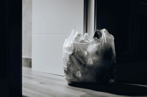 Space Junk: The Growing Problem of Waste in Orbit